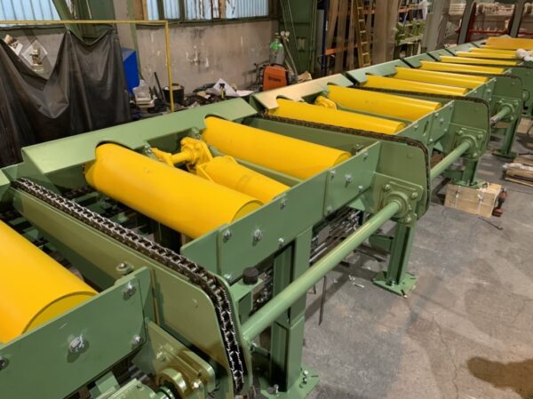 Roller conveyor with cross chains [02020171-10] - Image 2