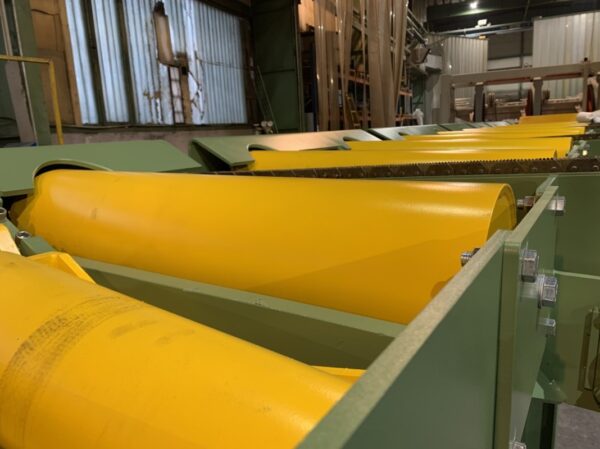 Roller conveyor with cross chains [02020171-10] - Image 3